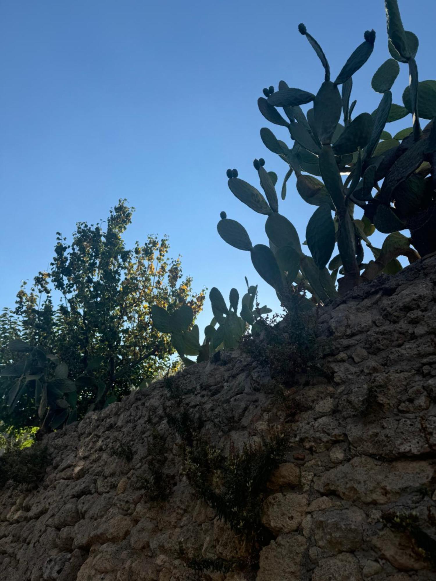 La Rosa Blu Bed & Breakfast Gerace Luaran gambar