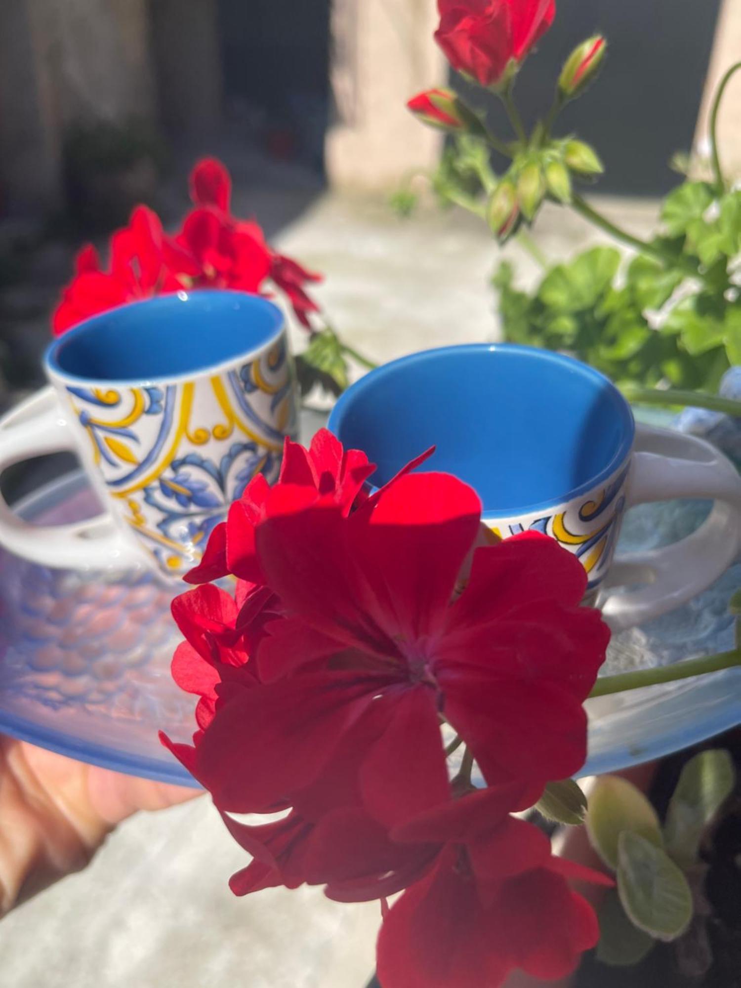 La Rosa Blu Bed & Breakfast Gerace Luaran gambar